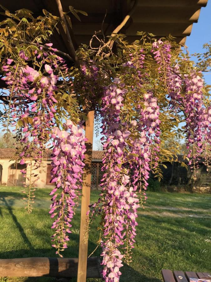 Agriturismo Corte Galvagnina Cesole 外观 照片