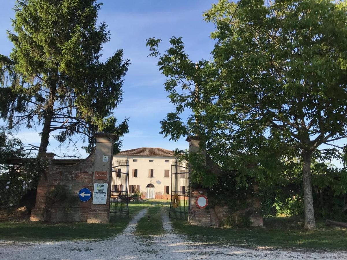 Agriturismo Corte Galvagnina Cesole 外观 照片